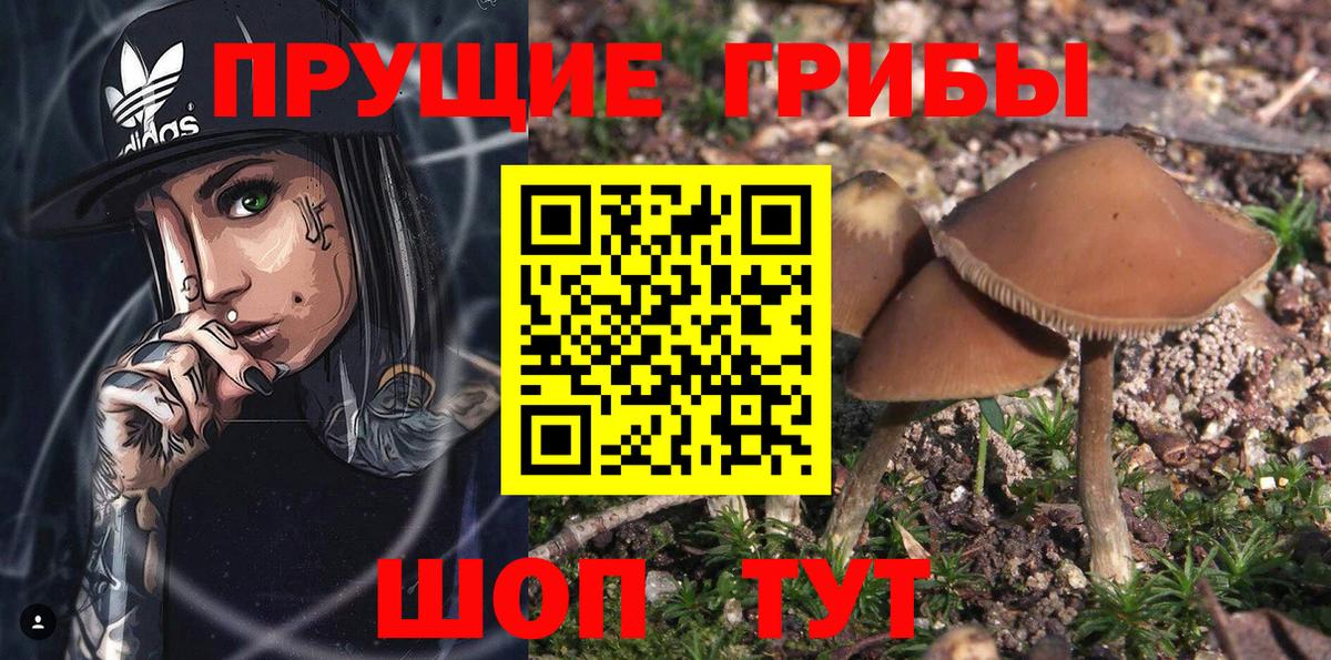 Псилоцибиновые грибы Magic Shrooms  Вход с VPN  Когалым 